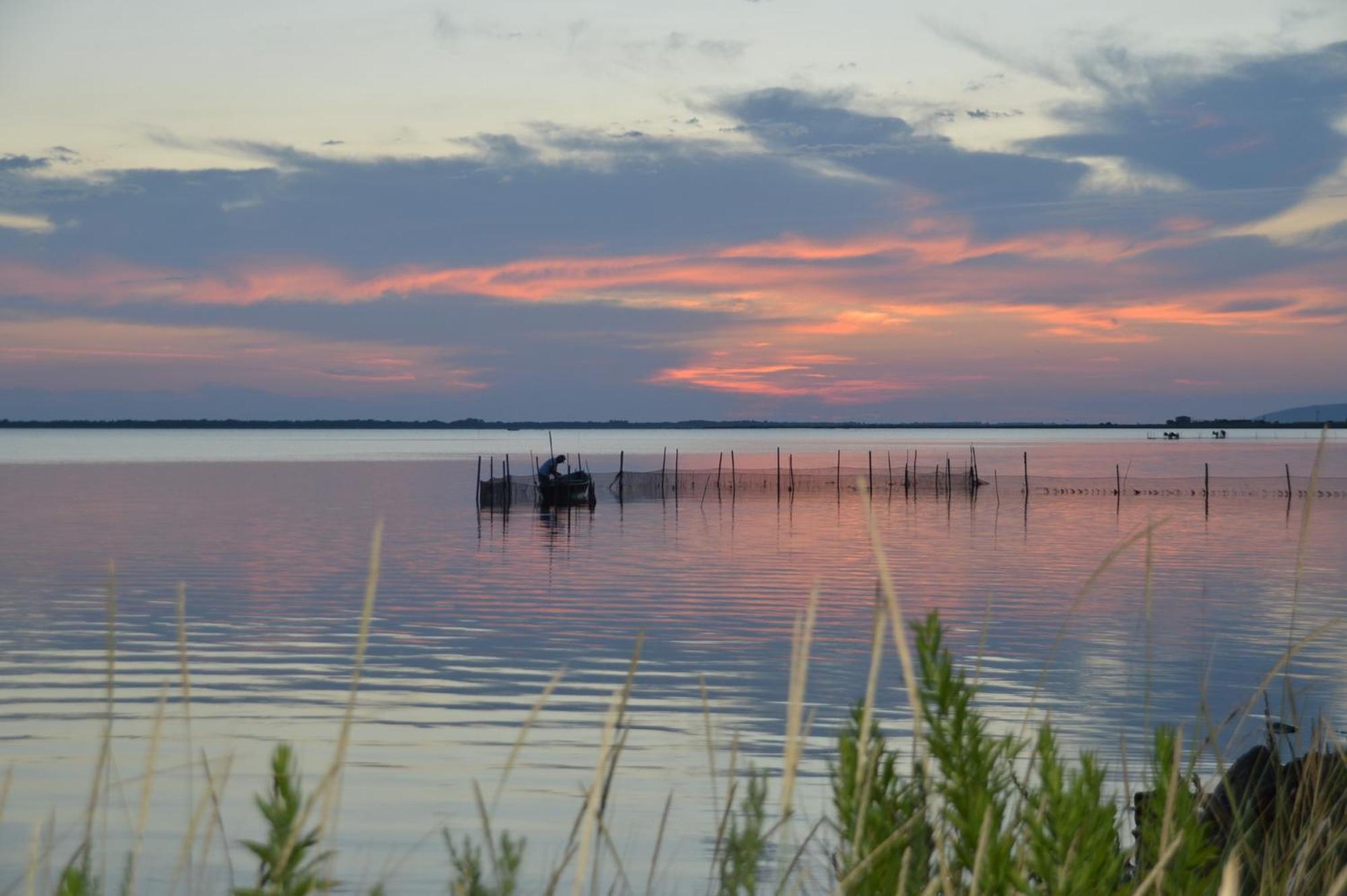 Le Stanze Di Ricci - Affittacamere Low Cost Lesina Exterior photo